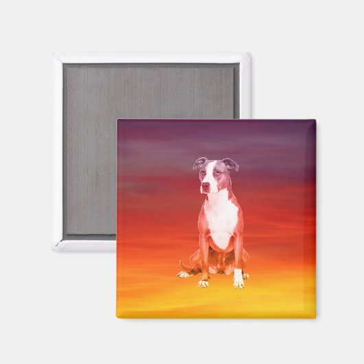 Pitbull hond zitten op het strand magneet (Voorkant / Achterkant)