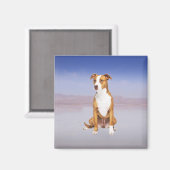 Pitbull hond zitten op het strand magneet (Voorkant / Achterkant)