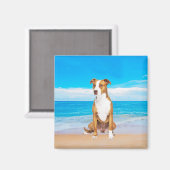 Pitbull hond zitten op het strand magneet (Voorkant / Achterkant)