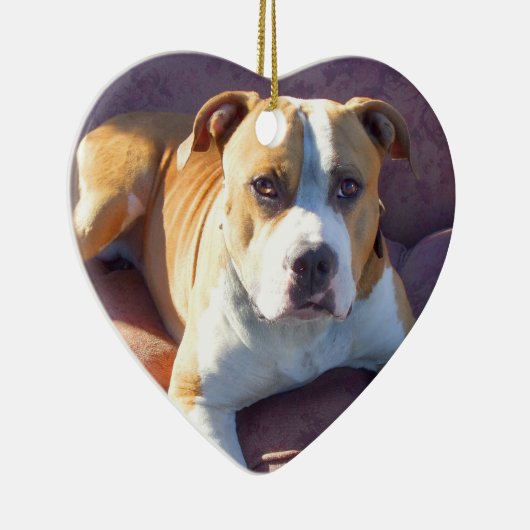 Pitbull-hondenversiering Keramisch Ornament (Rechts)