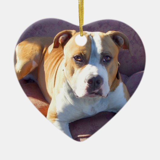 Pitbull-hondenversiering Keramisch Ornament (Voorkant)