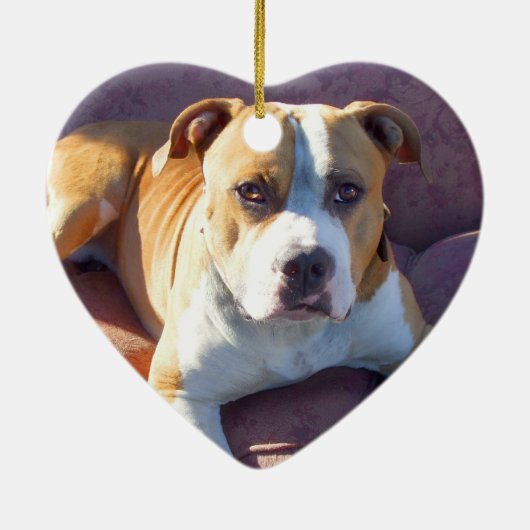 Pitbull-hondenversiering Keramisch Ornament (Achterkant)