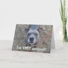 Pitbull Ik ben serieus Vaderdag Kaart