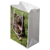 Pitbull in de gras | Foto bewerken Medium Cadeauzakje (Voorkant Gekanteld)