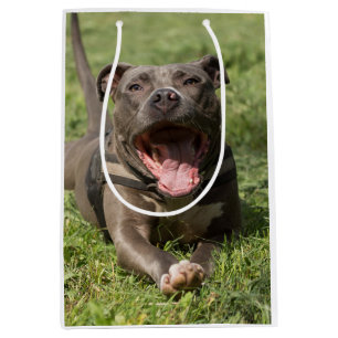 Pitbull in de gras   Foto bewerken Medium Cadeauzakje