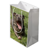 Pitbull in de gras | Foto bewerken Medium Cadeauzakje (Achterkant Gekanteld)