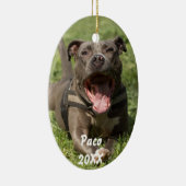 Pitbull in gras keramisch ornament (Rechts)