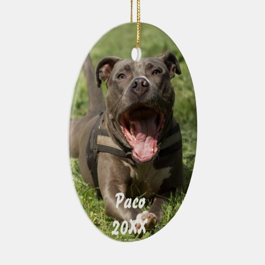 Pitbull in gras keramisch ornament (Rechts)