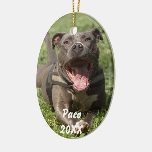 Pitbull in gras keramisch ornament (Links)