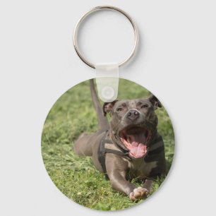Pitbull in gras sleutelhanger