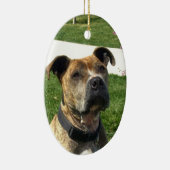 Pitbull Keramisch Ornament (Rechts)