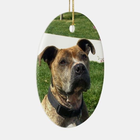 Pitbull Keramisch Ornament (Rechts)