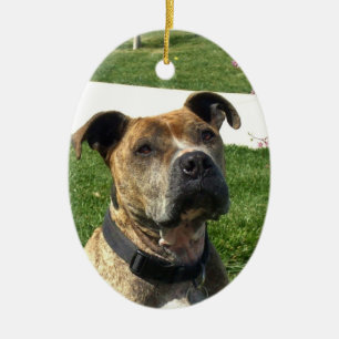 Pitbull Keramisch Ornament