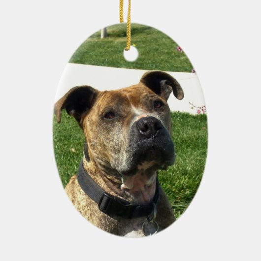 Pitbull Keramisch Ornament (Achterkant)