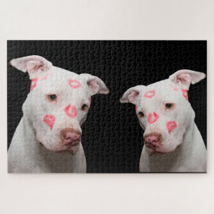 Pitbull Kisses Legpuzzel