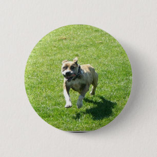 Pitbull-knop Ronde Button 5,7 Cm