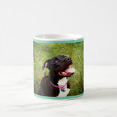 Pitbull Koffiemok (Center)