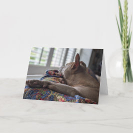 Pitbull Liefde Bedankkaart