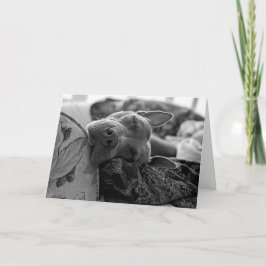 Pitbull Liefde Bedankkaart