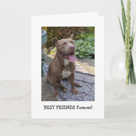 Pitbull Liefde Denk Aan Jou Kaart