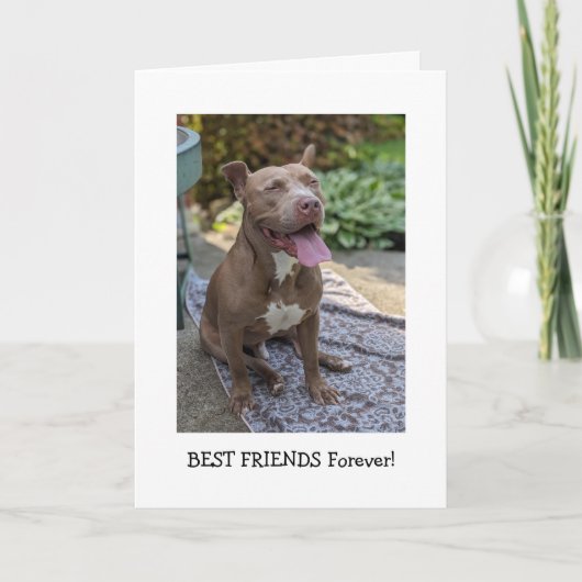 Pitbull Liefde Denk Aan Jou Kaart (Voorkant)