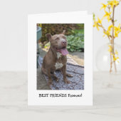 Pitbull Liefde Denk Aan Jou Kaart (Gele Bloem)