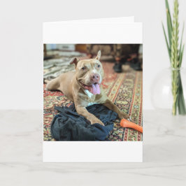 Pitbull Liefde Kaart