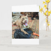 Pitbull Liefde Kaart (Gele Bloem)