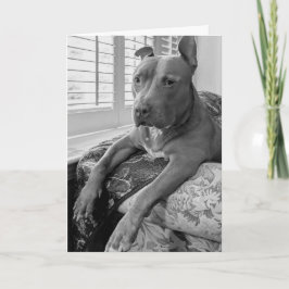 Pitbull Liefde Kaart