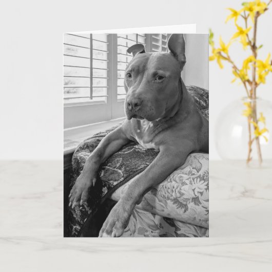 Pitbull-liefde Kaart (Gele Bloem)