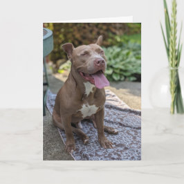 Pitbull Liefde Kaart