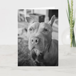 Pitbull Liefde Kaart