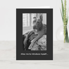 Pitbull Liefde McLovin Kaart