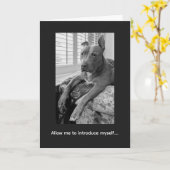 Pitbull Liefde McLovin Kaart (Gele Bloem)