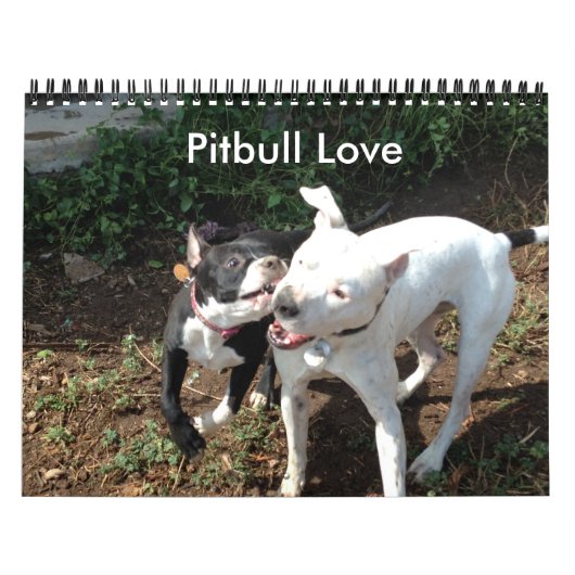 Pitbull Love Calendar Kalender (Hoes)