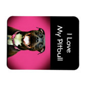 Pitbull Love Magneet (Horizontaal)