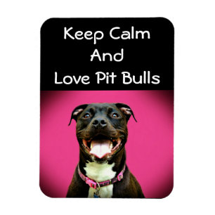 Pitbull Love Photo Magnet Magneet