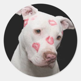 Pitbull Lover Ronde Sticker