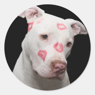 Pitbull Lover Ronde Sticker