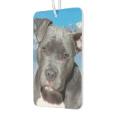 Pitbull Luchtverfrisser (Links)