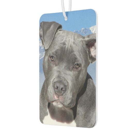 Pitbull Luchtverfrisser (Links)