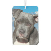 Pitbull Luchtverfrisser (Achterkant)