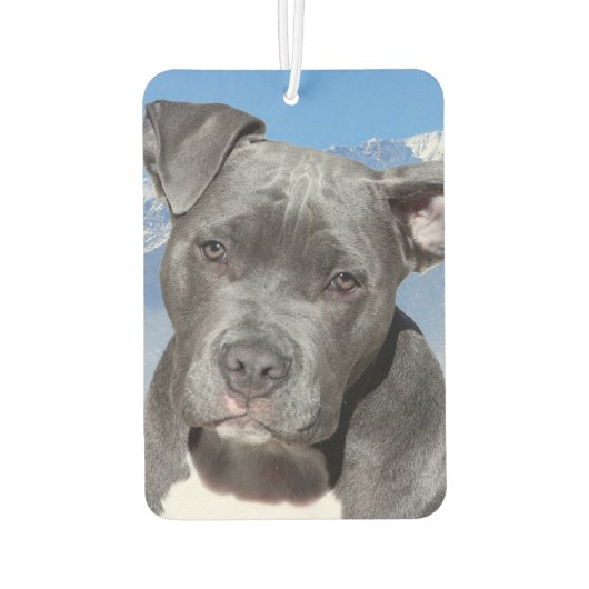 Pitbull Luchtverfrisser (Achterkant)