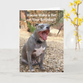 Pitbull maakt een Kaart van de Verjaardag van de R (Gele Bloem)