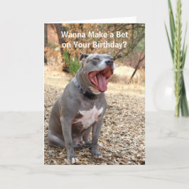 Pitbull maakt een Kaart van de Verjaardag van de R