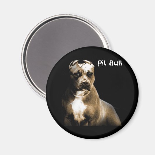 PITbull Magneet (Voorkant / Achterkant)