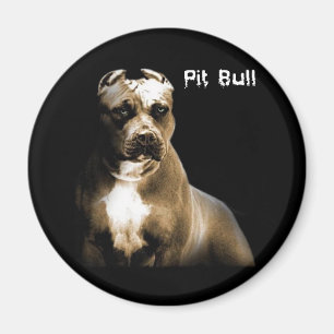 PITbull Magneet