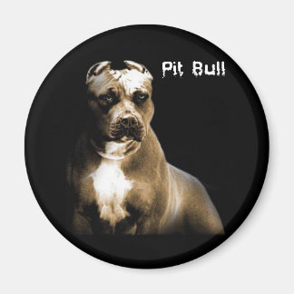 PITbull Magneet