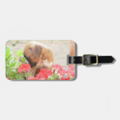 Pitbull mama Dog Bagagelabel (Voorkant horizontaal)