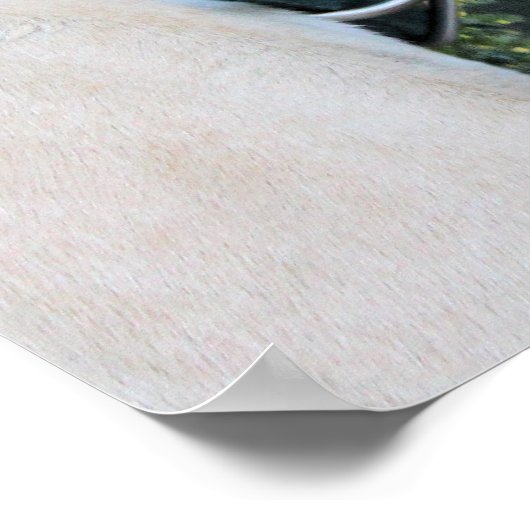 Pitbull - Maverick Composiet Poster (Hoek)